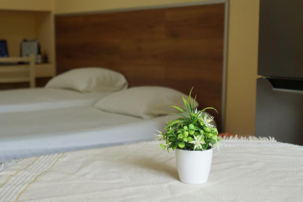 Alle'S M Shyri Studio Apartment Tirana Bagian luar foto