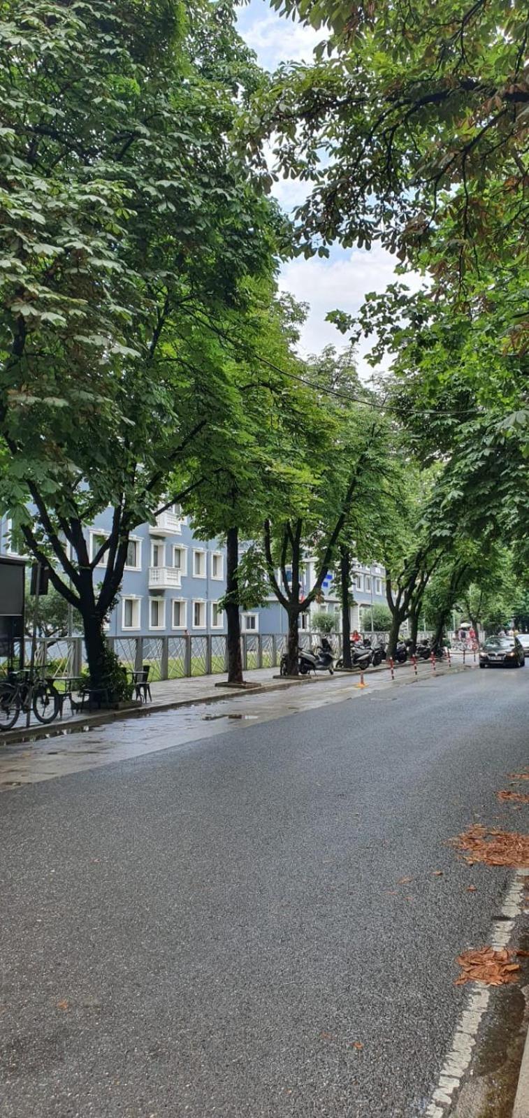 Alle'S M Shyri Studio Apartment Tirana Bagian luar foto